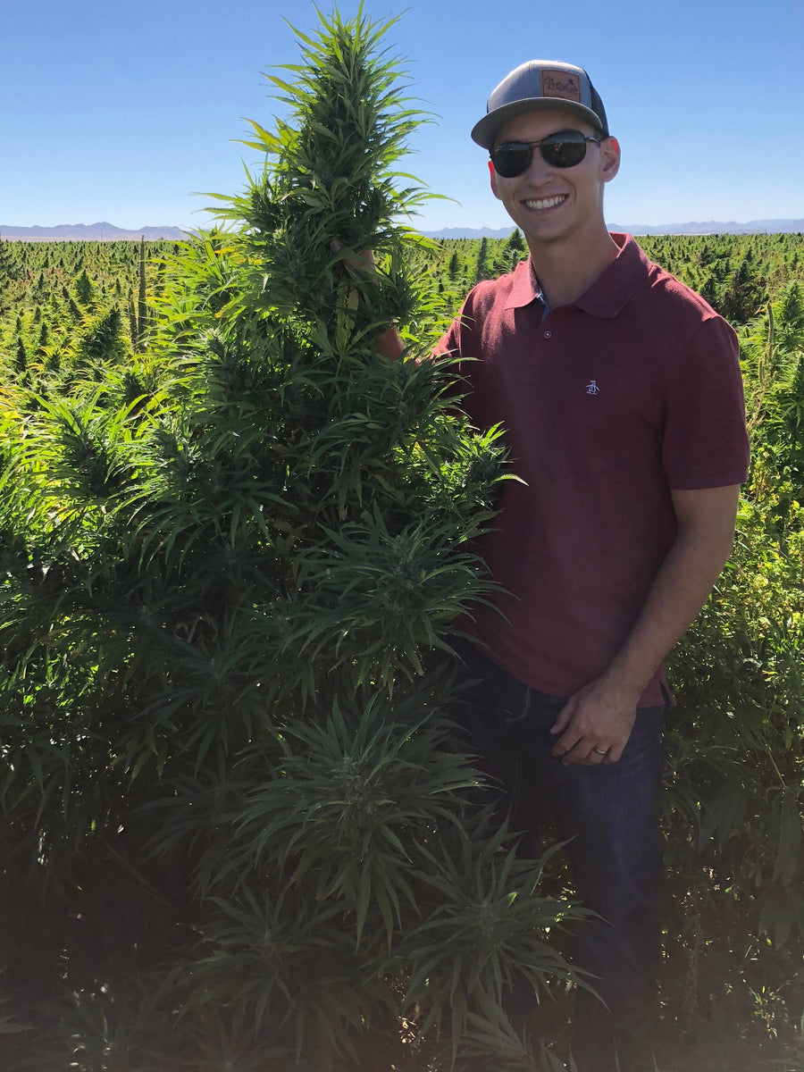 Co Founder Erik Jackson consulting on 1000 acre hemp farms in 2019. This is how Fortitude has such a large network of trusted hemp farmers to source hemp to make their CBD supplement for horses