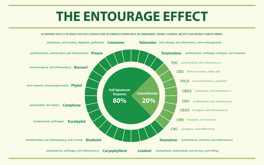 What is The Entourage Effect and what does it mean for CBD supplements?